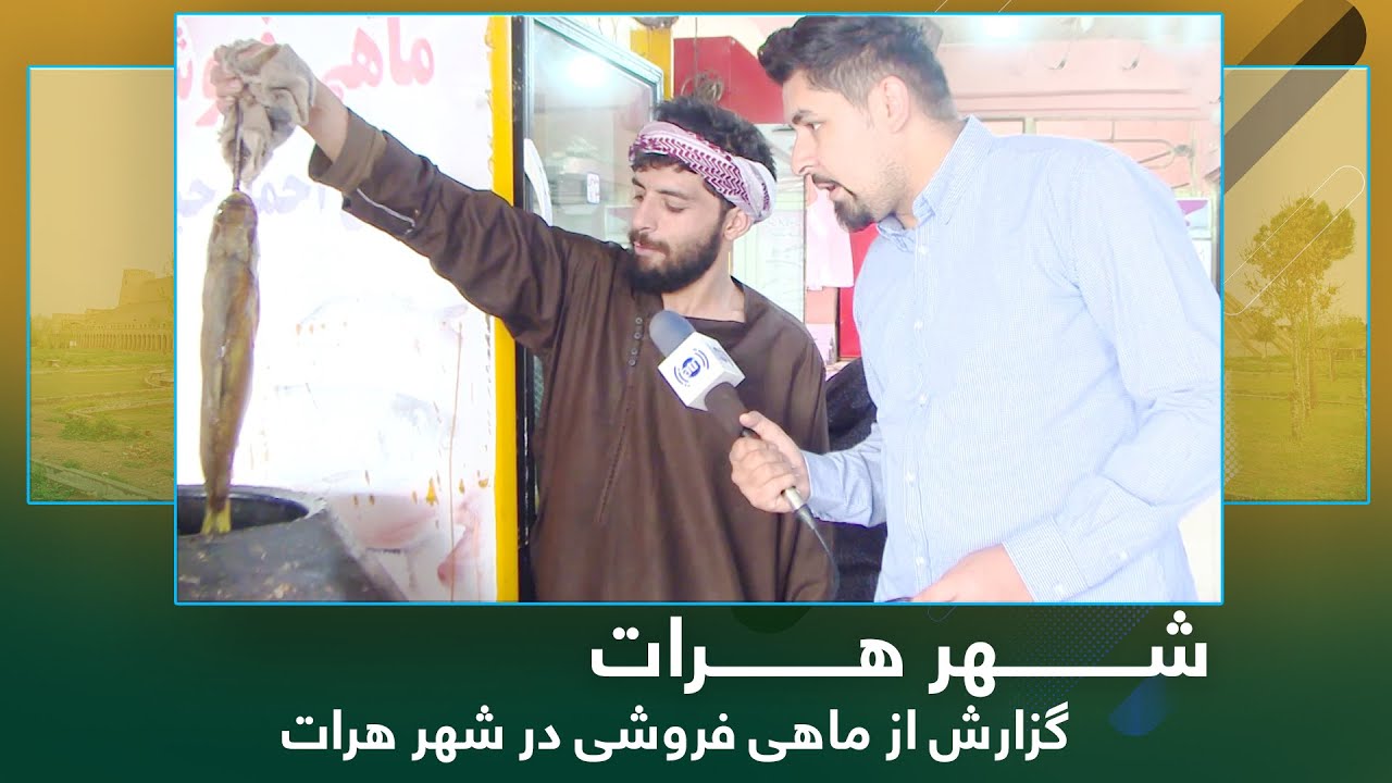 Ariana Herat: Report from Fish shop / آریانا هرات: گزارش از ماهی فروشی در شهر هرات