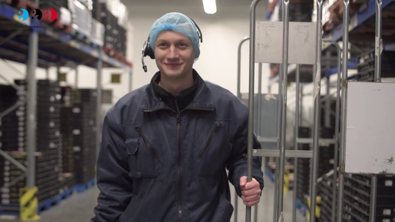 Tomek -  Order Picker - Hollander