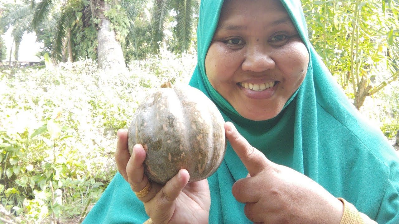 cara masak lemak labu ikan masin by kak nur@tip labu tak hancur