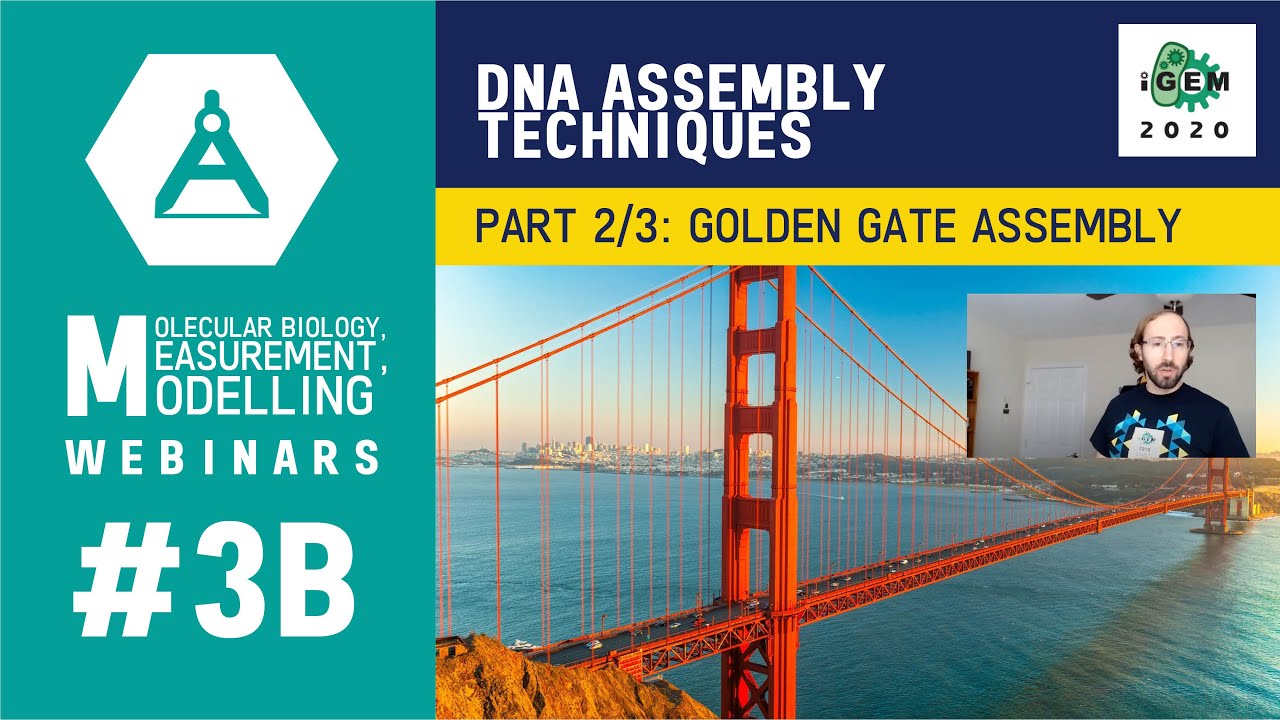 Week #3B: DNA Assembly Techniques - Part 2/3 Golden Gate Assembly - iGEM 2020 Measurement Webinars