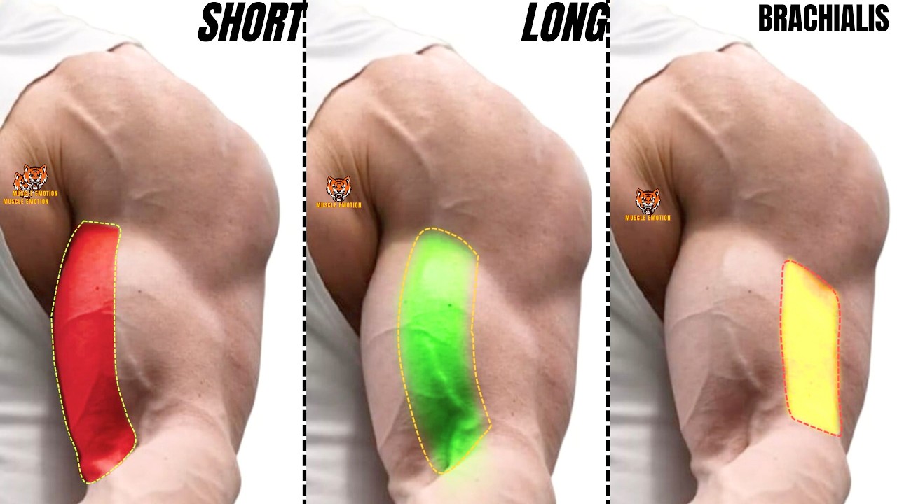 15 BEST BICEPS WORKOUT AT GYM
