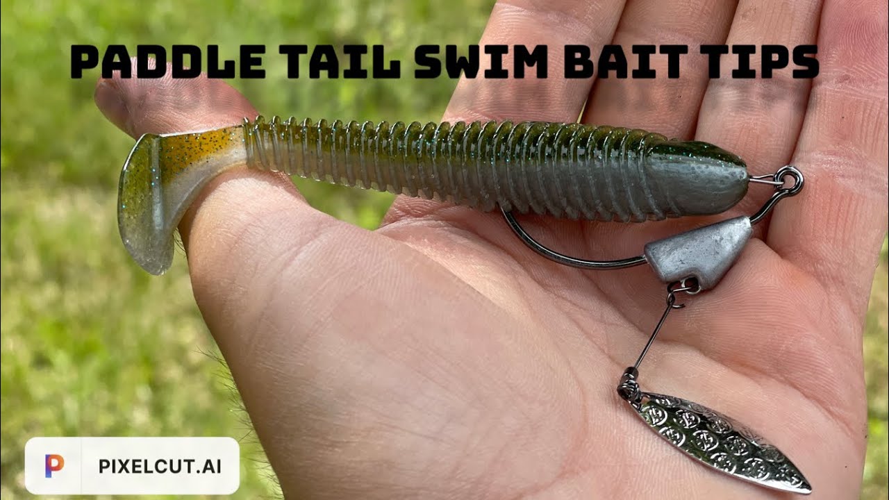 Paddle Tail Swim Bait Tips