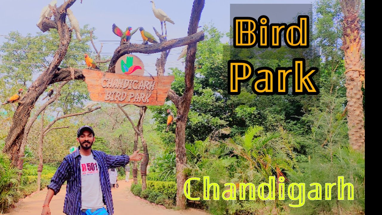 bird park chandigarh | new bird park in chandigarh | famous place in chandigarh