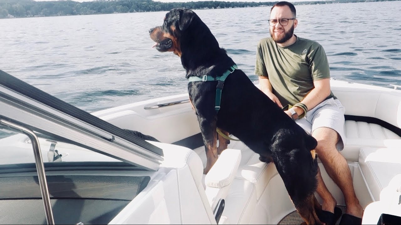 Rottweiler's first time on a boat. |08