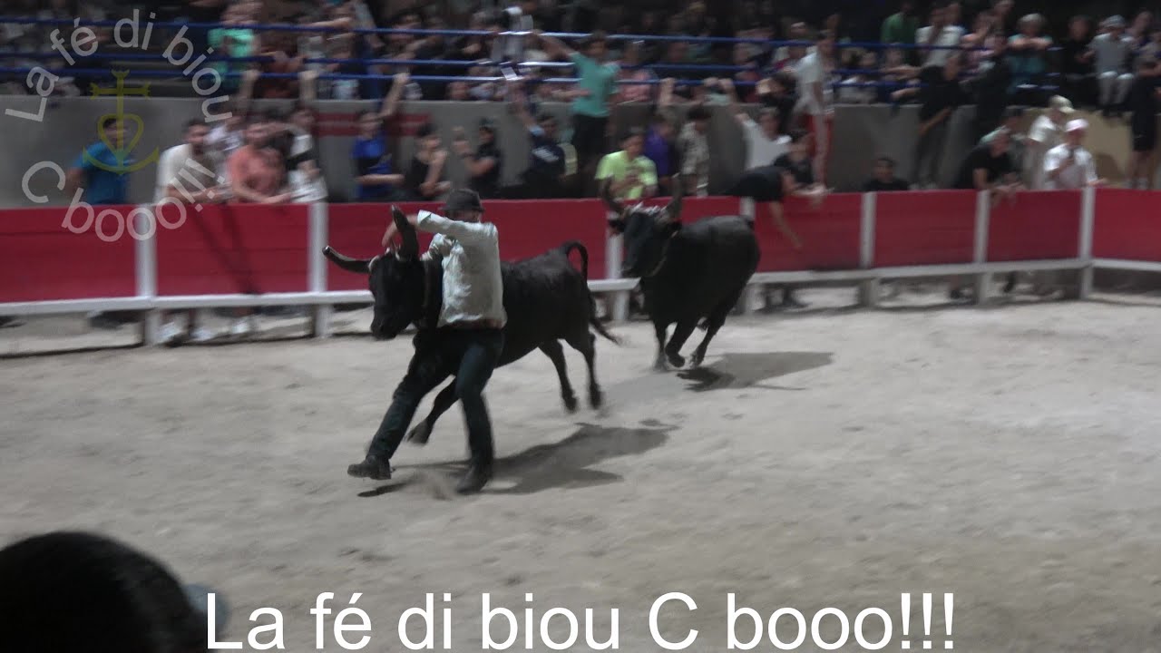 Caissargues ▶Bandido + saut sur cheval et taureau - manade Lou Simbeü◀ 06.06.2025.