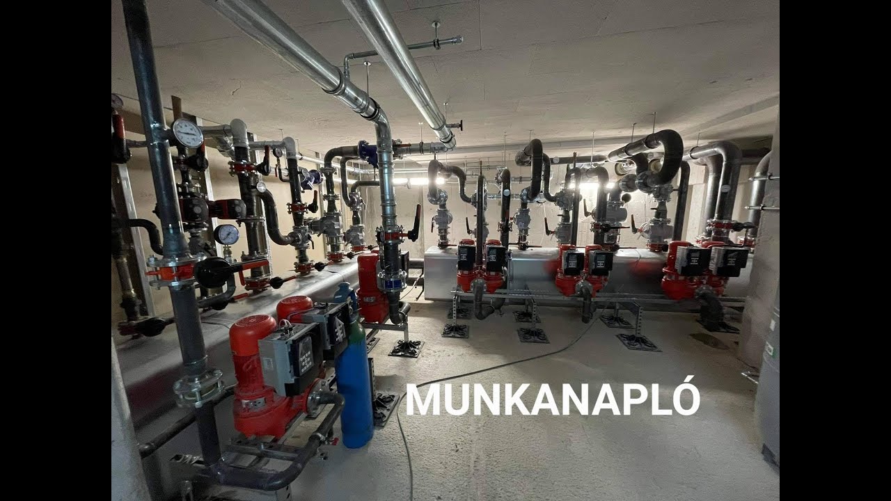 👷🏼‍♂️ Munkanapló - Születésnapi különkiadás 🎂    4️⃣1️⃣   🥂