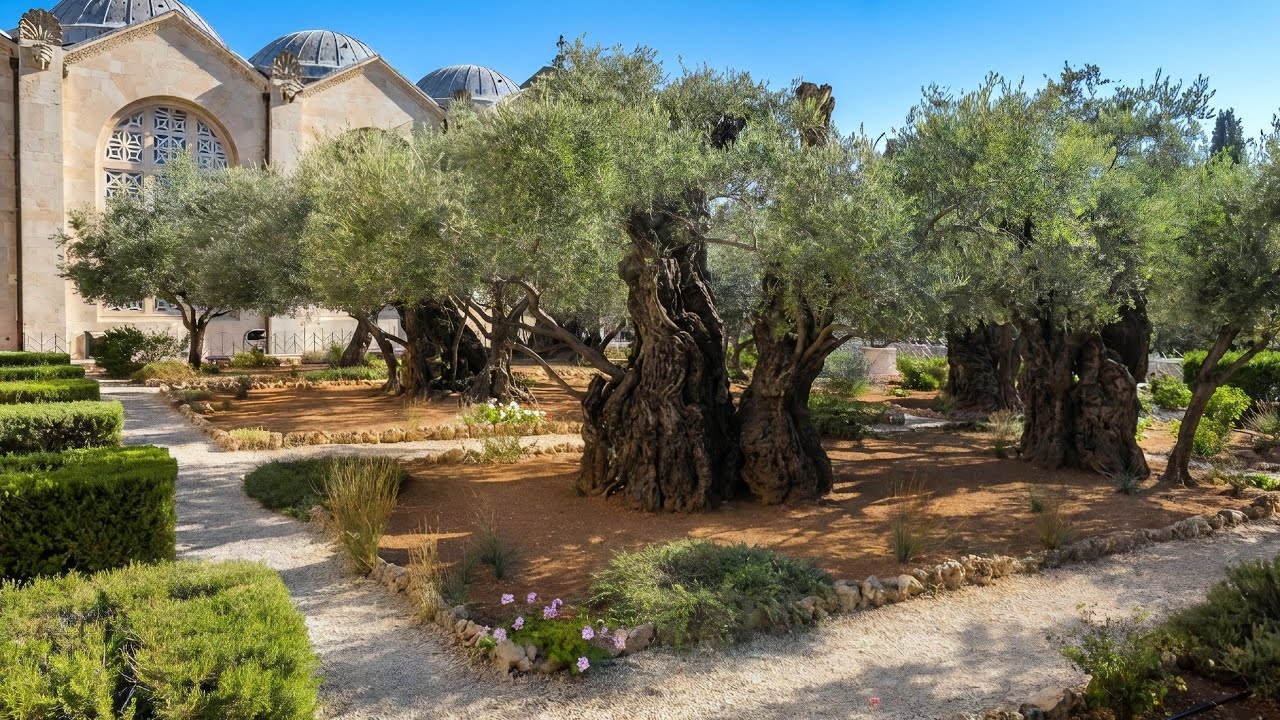 Jerusalem: Garden of Gethsemane Walk | 4K 60fps | Ambient