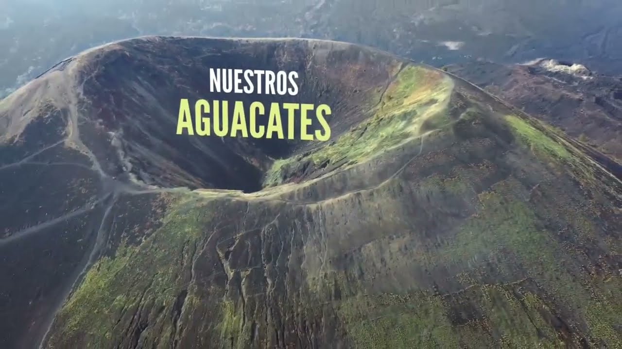 APEAM en el 20&deg; FICM