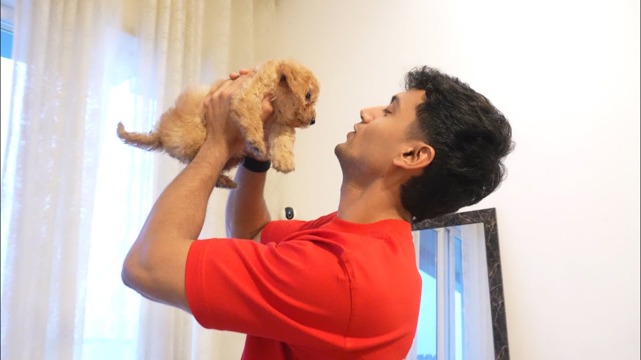 Surprise! New Family Member 😍