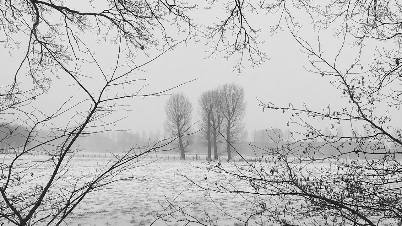 Melancholie - Winterkronieken (Full Album)