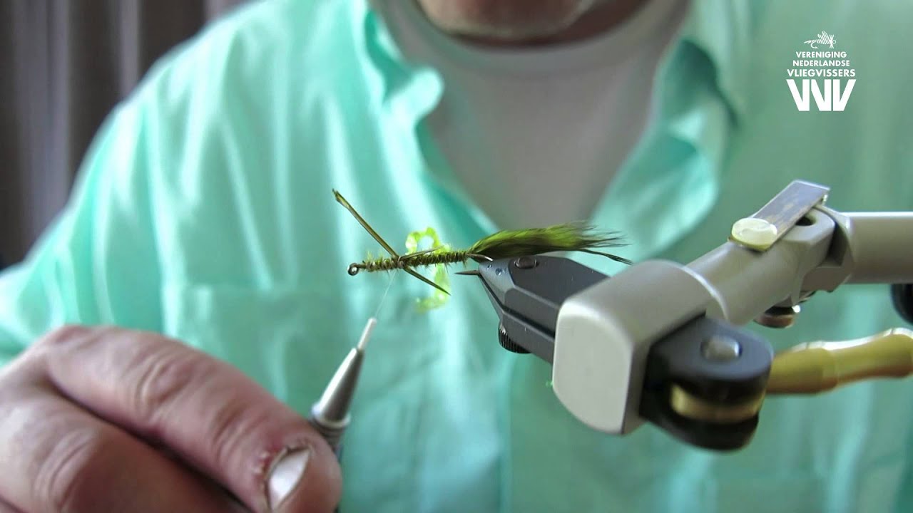 Baggelhuizen Damsel