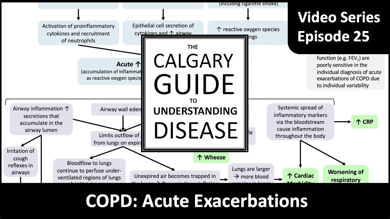 COPD: Acute Exacerbations