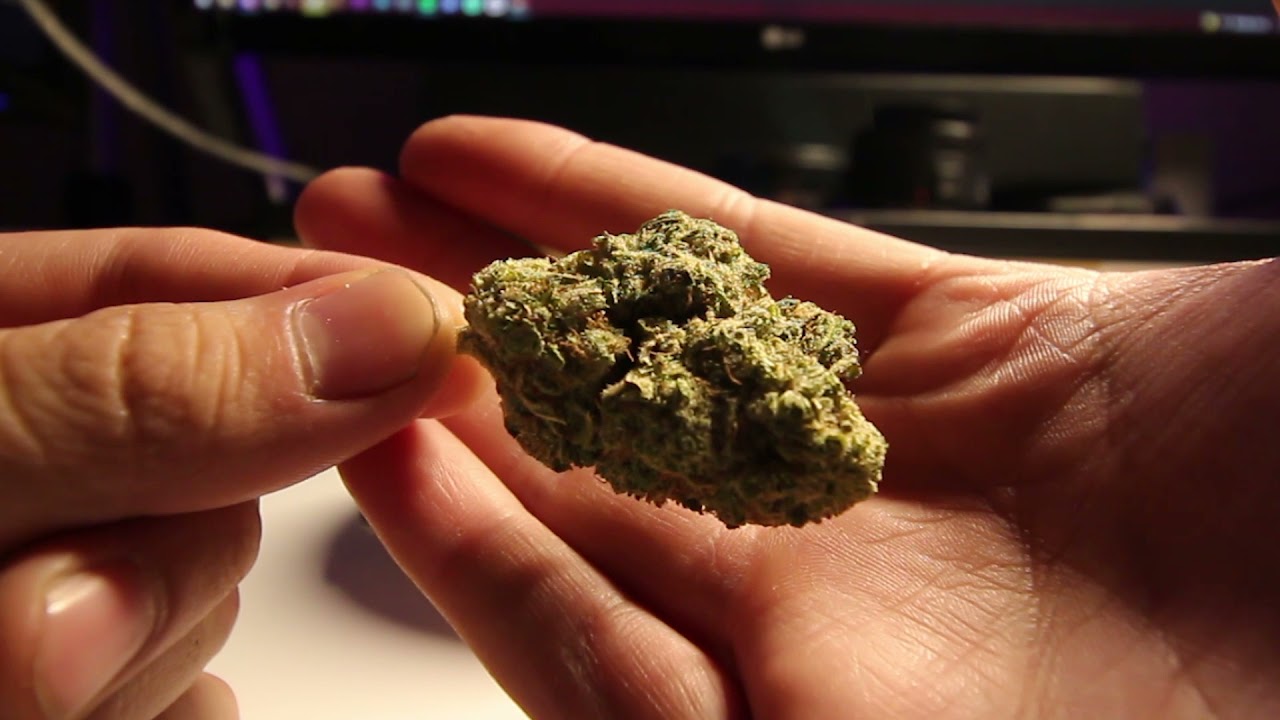 Do-Se-Dos | Lemon G from BOLD | Smoke Sesh #1