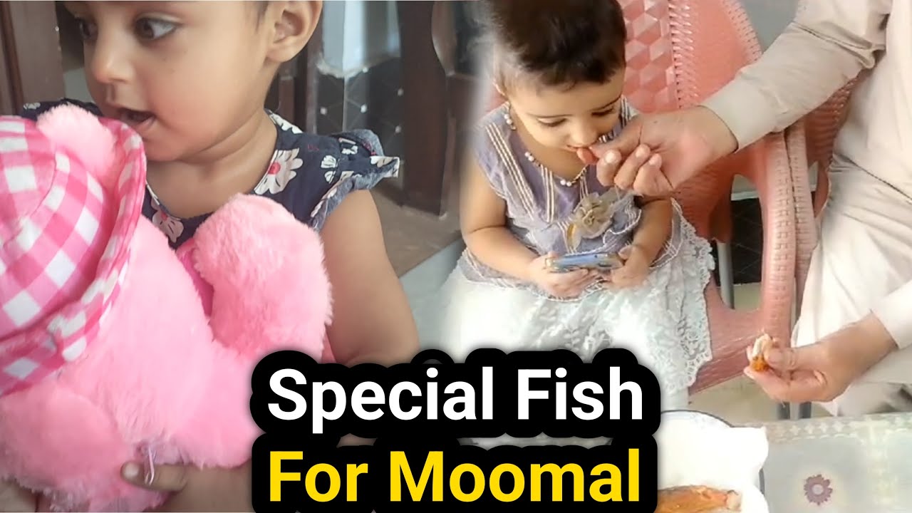 Special Fish For Moomal | Moomal Ka Bear | 