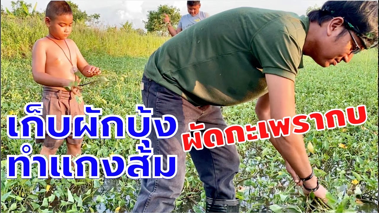 แกงส้มผักบุ้ง ผัดกะเพรากบ เมนูอาหารบ้านๆรสชาติได้ดั่งใจ | สไตล์นายแทน