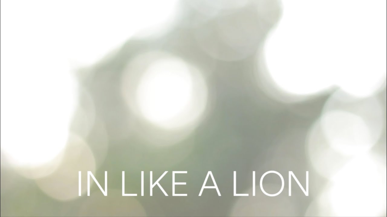 Adam & Darcie - In Like A Lion