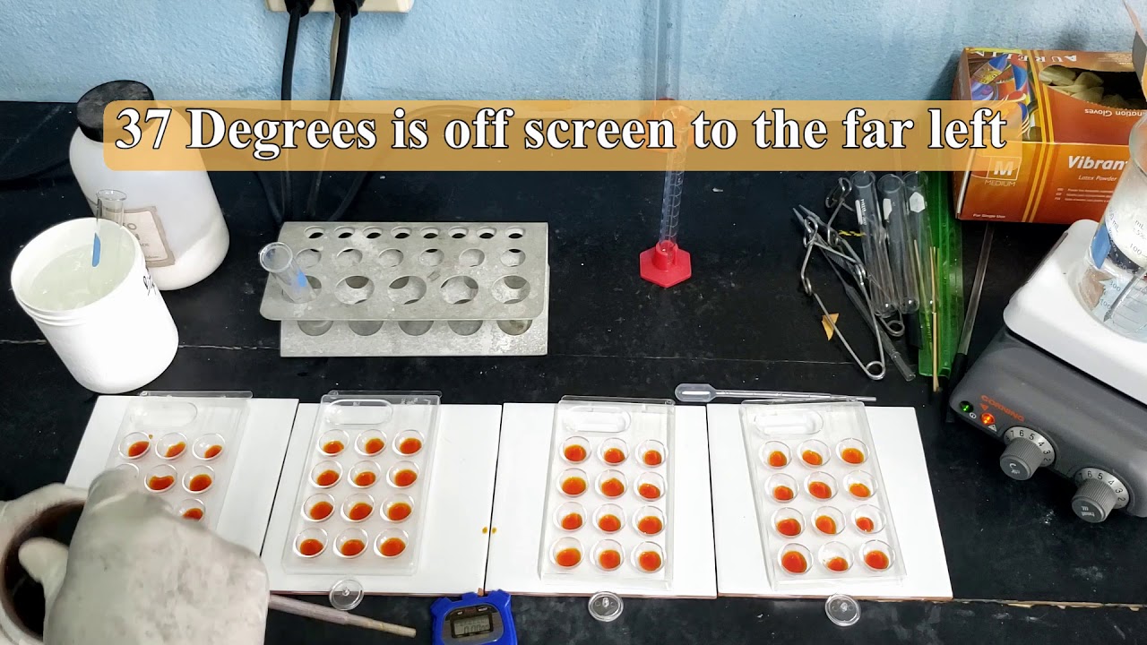 Enzyme Activity: The effect of Temperature & Concentration on Starch and Amylase