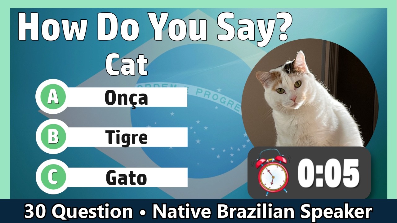 Brazilian Portuguese for Beginners | Vocabulary Quiz 2 Practice