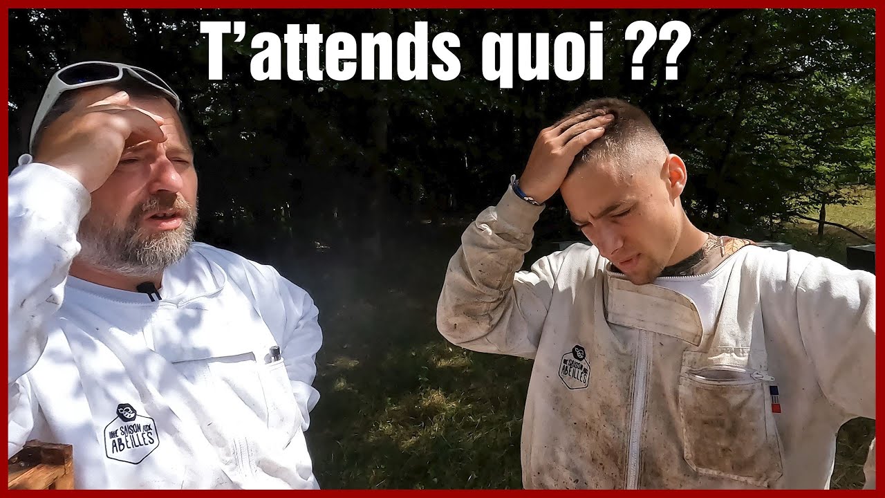 T'as préparé tes ruches pour l'hiver ?  [S06E28]