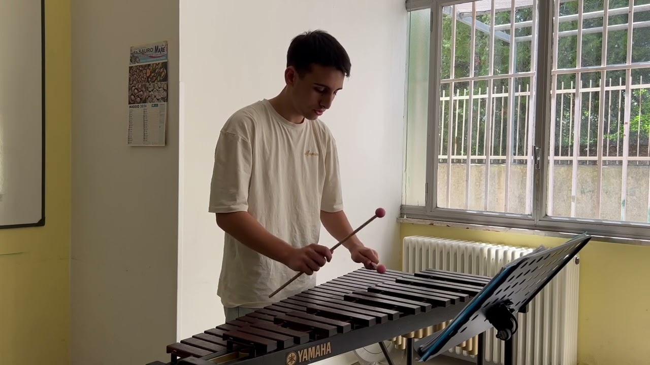Andrea Casagrande suona allo xilofono l' Esposizione del 1° Mov Sinfonia n. 40 di Mozart