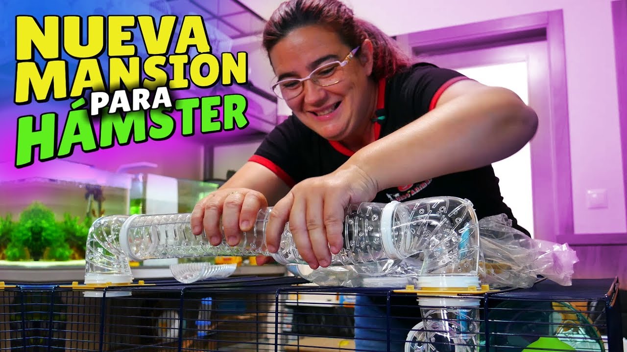 La NUEVA Mansión de Jon Nieve 🐹 Jaula para ROEDORES [Hámster Sirio]