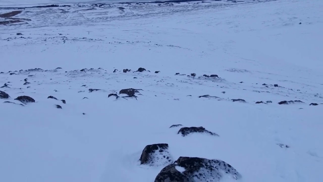 Va&eth;lahei&eth;i, &aacute; fjallask&iacute;&eth;um