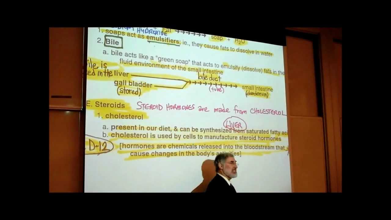 CHOLESTEROL & STEROID HORMONES by Professor Fink