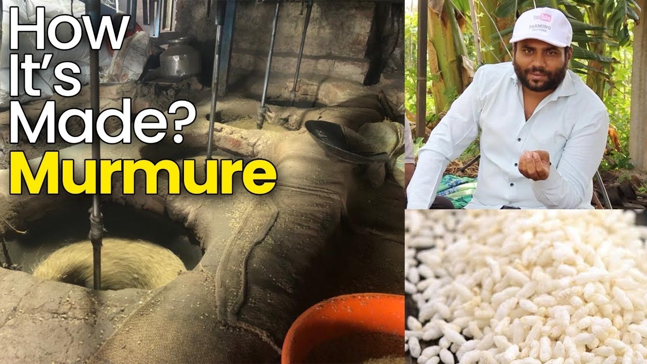 Puffed rice: How is it made? How is puffed rice made || Farming Engineer ||