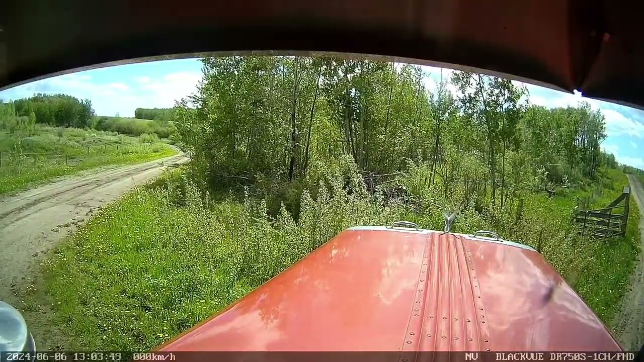 ain't no pavement princess!
