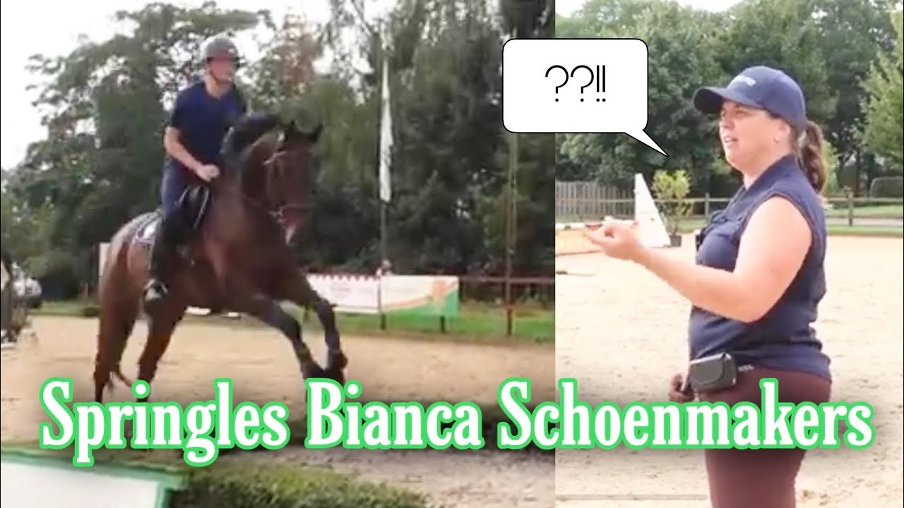 SPRINGLES VAN BIANCA SCHOENMAKERS | Oefenspringen | * Manege de Arckelhoeve *