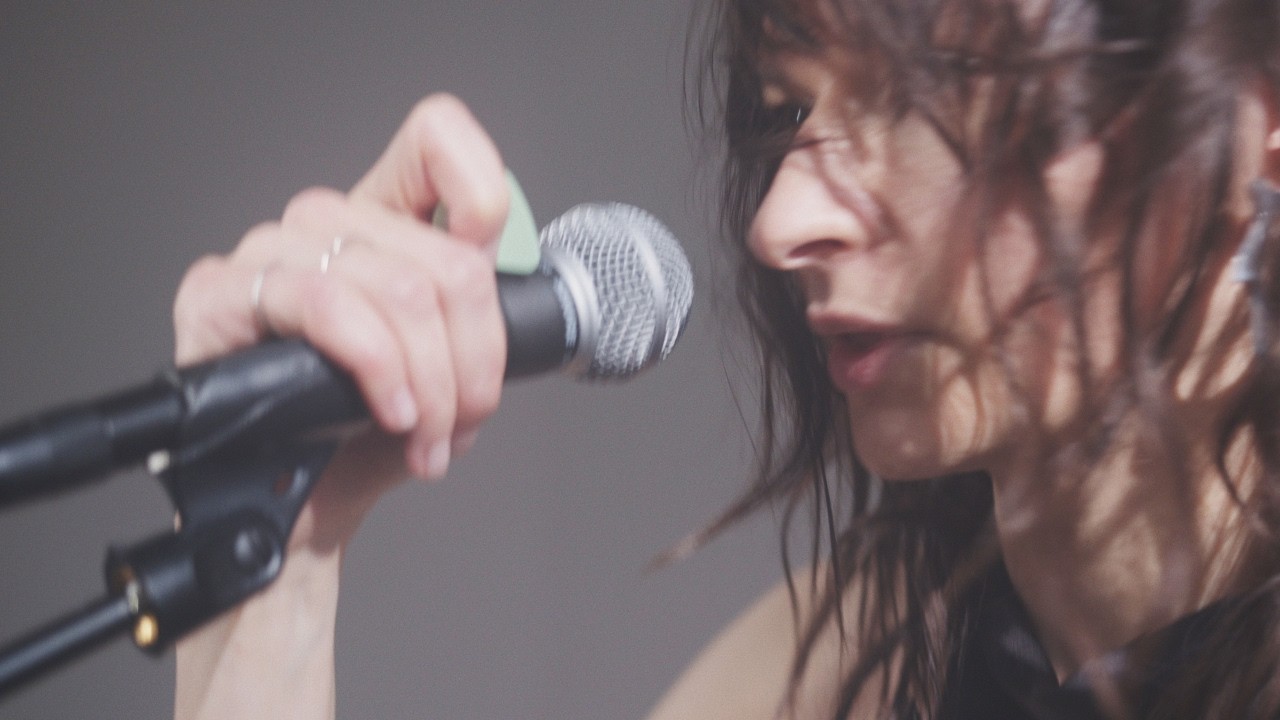 Rosa Damask at Silent Space