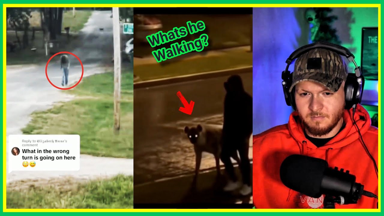 WEIRD videos that will FREAK you OUT