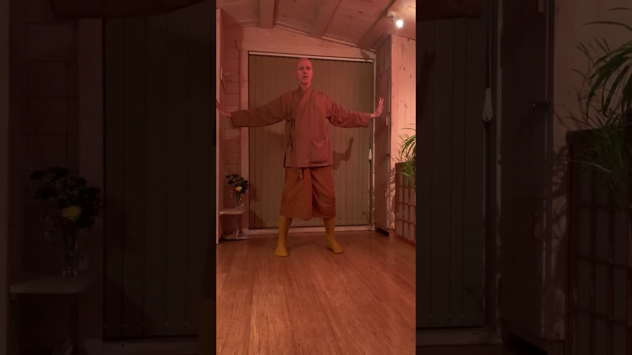 Qi Gong #2 (16th Dec 2020, PM)
