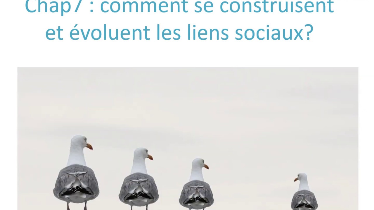 Chap 7 : comment se construisent et évoluent les liens sociaux 1ere partie