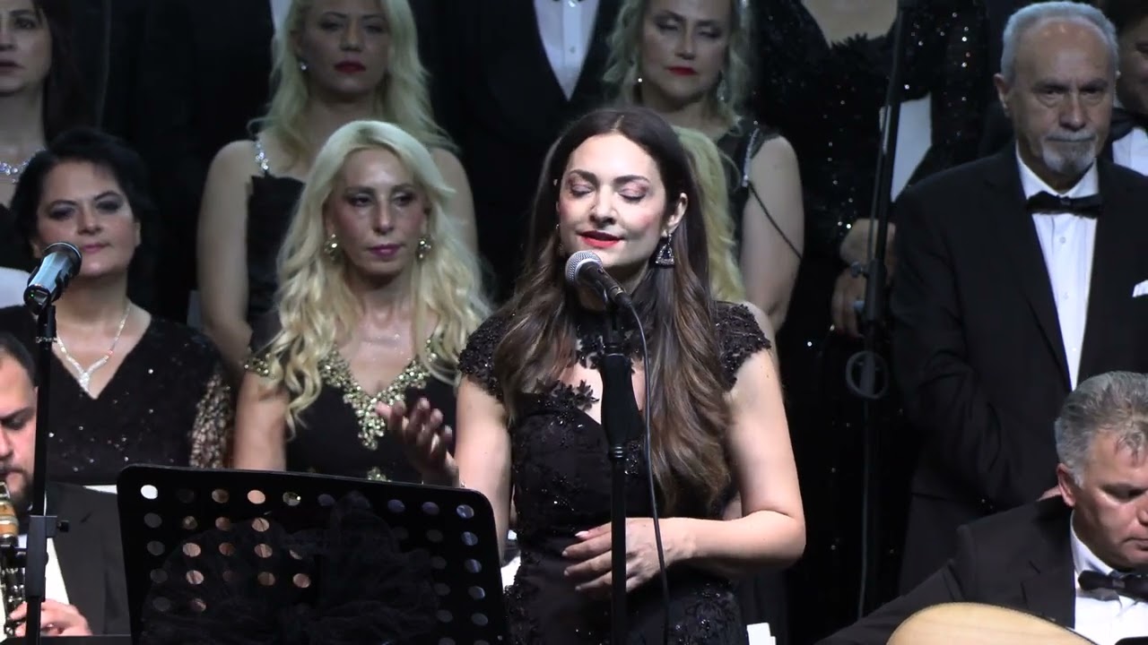 Özlem Gayret - Aylar yıllar geçti