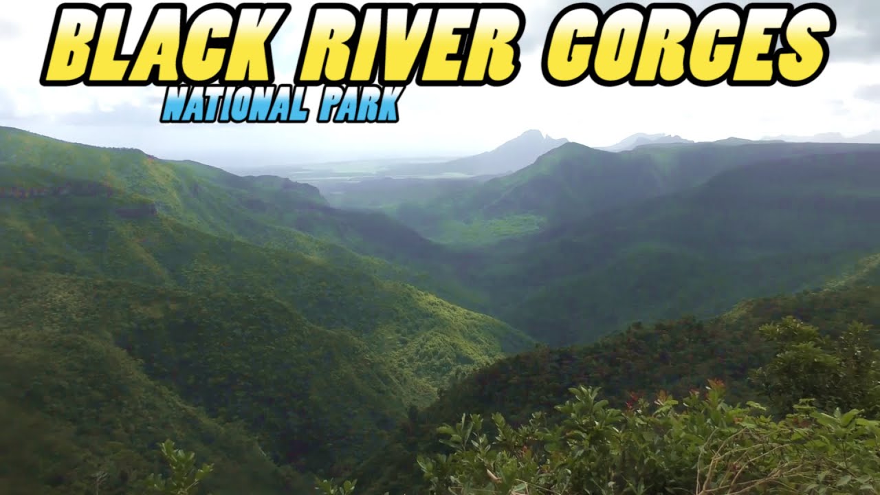 Black River Gorges National Park - Mauritius (4k)