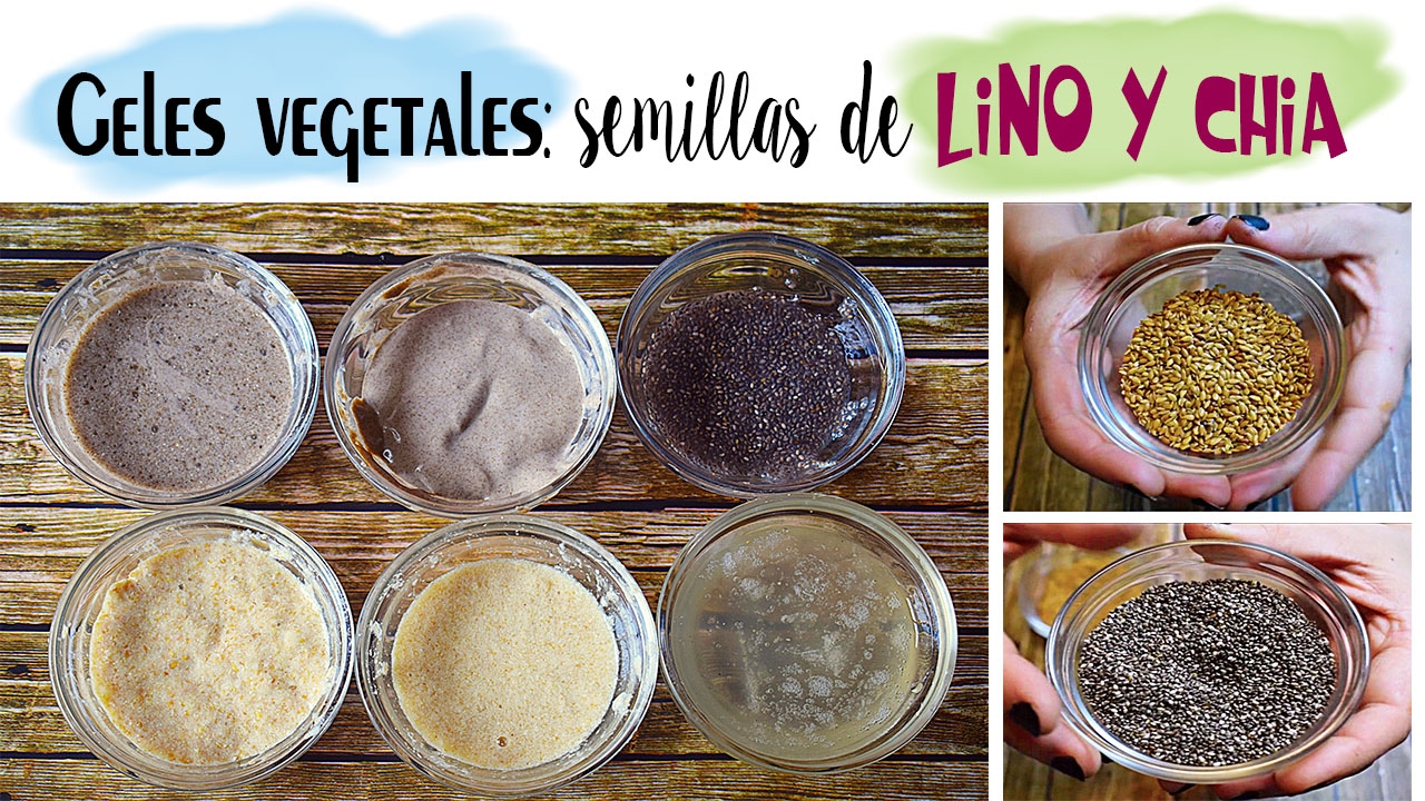 Cómo hacer geles vegetales con semillas: lino y chia
