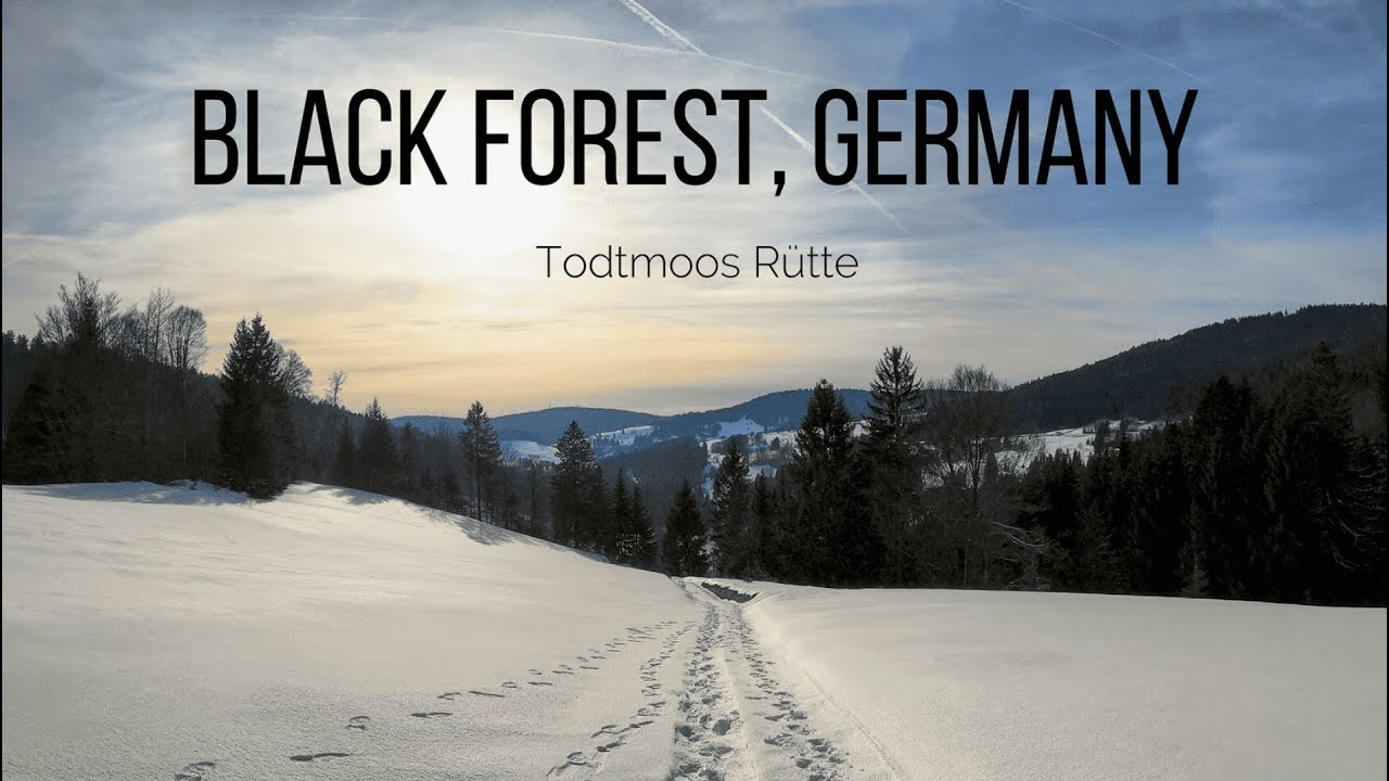 A short hike close to Todtmoos R&uuml;tte | Black Forest [Germany] | 4K