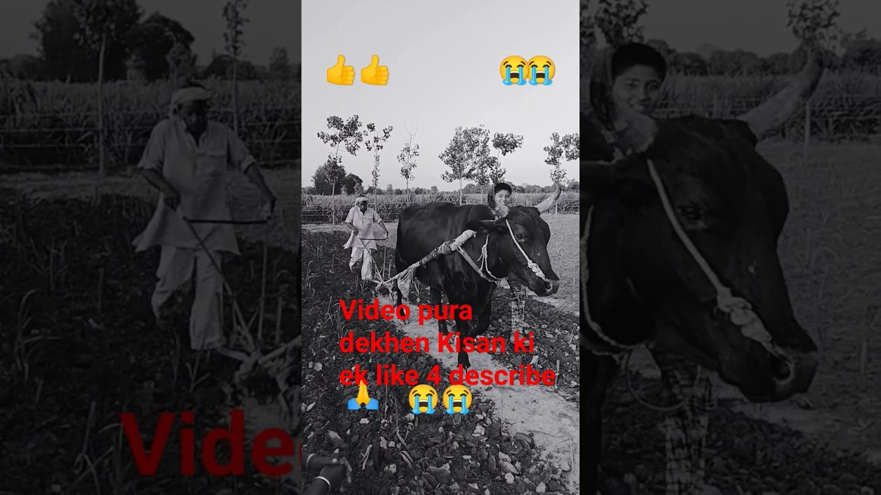#goneviral