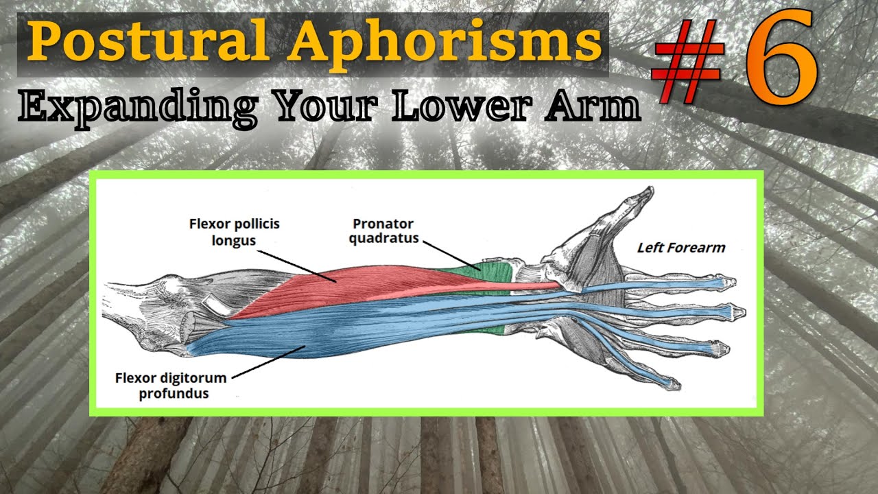 Expanding Your Lower Arm -- Postural Aphorisms #6