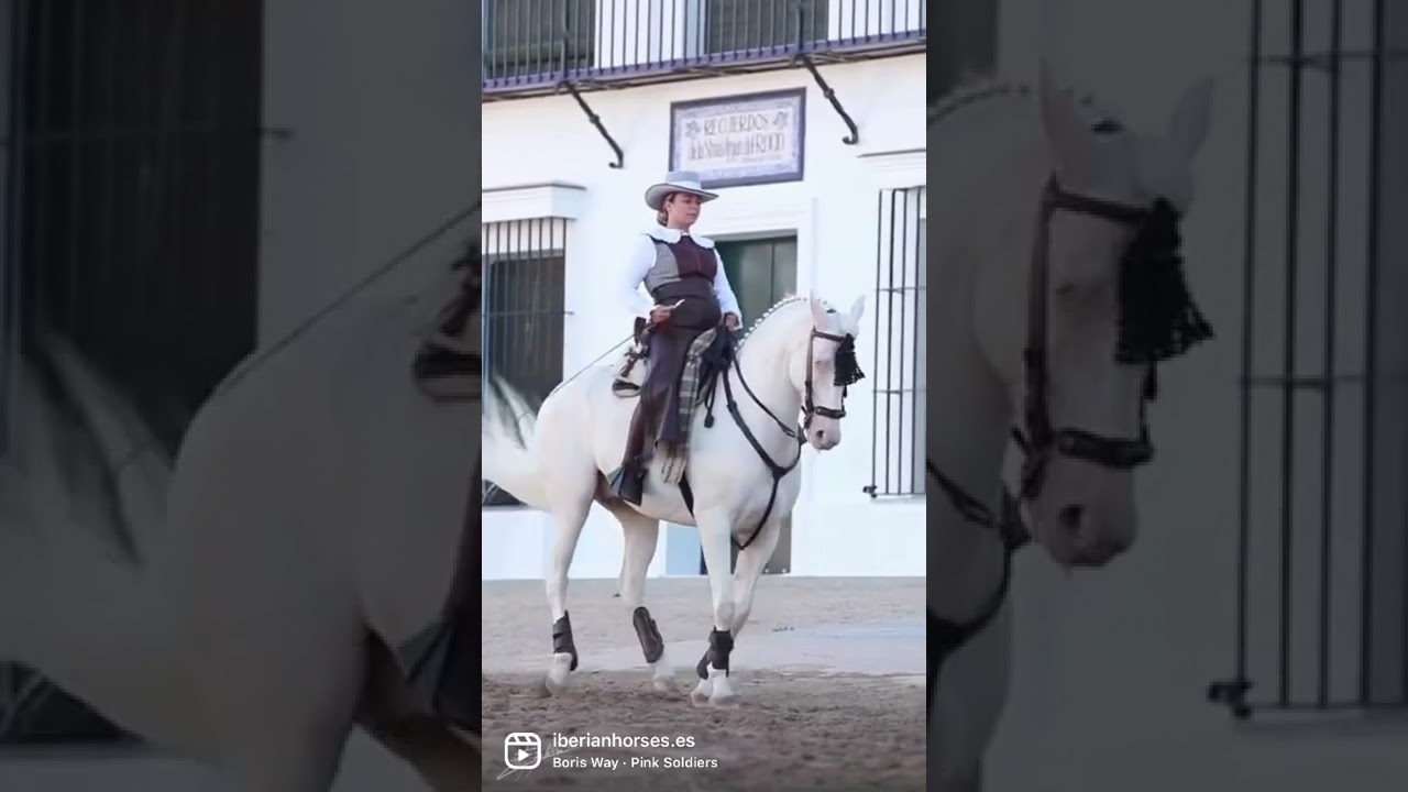 Top character and level perlino horse