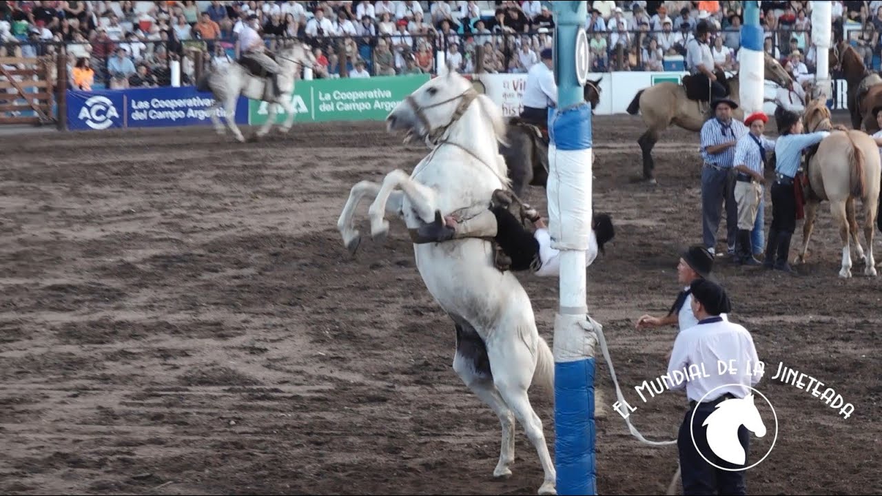 Rumbo a Jesús María 2026 - El Mundial de la Jineteada 188