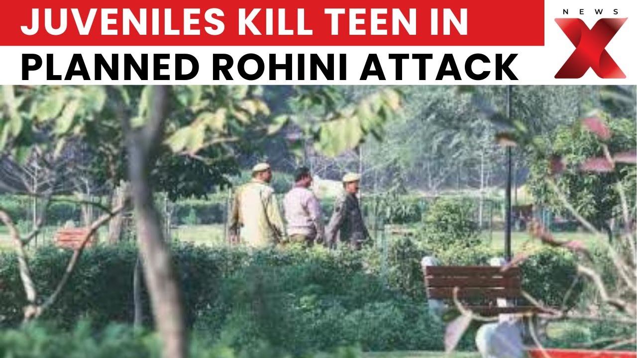 Rohini Teen Murder: Delhi Teen Lured via Fake Account, Stabbed to Death in Rohini Park