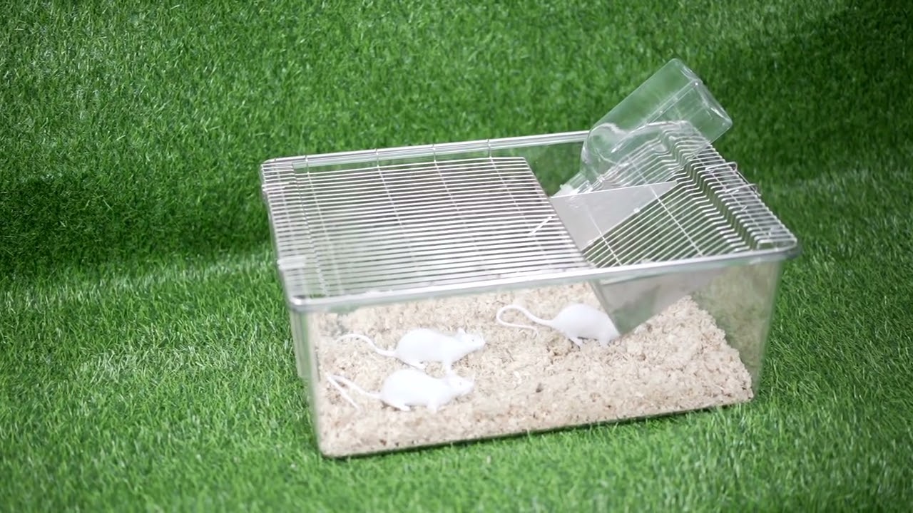 Lab Rodent Mouse Rats Breeding Cages