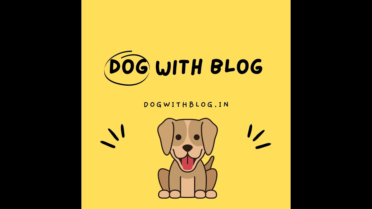 Patron, the mine-sniffing dog, from Ukraine