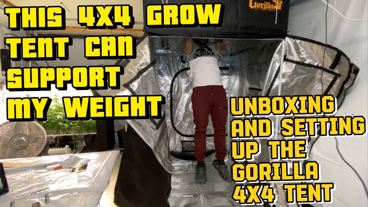 Gorilla Grow Tent Setup And Unboxing the 4x4 Tent