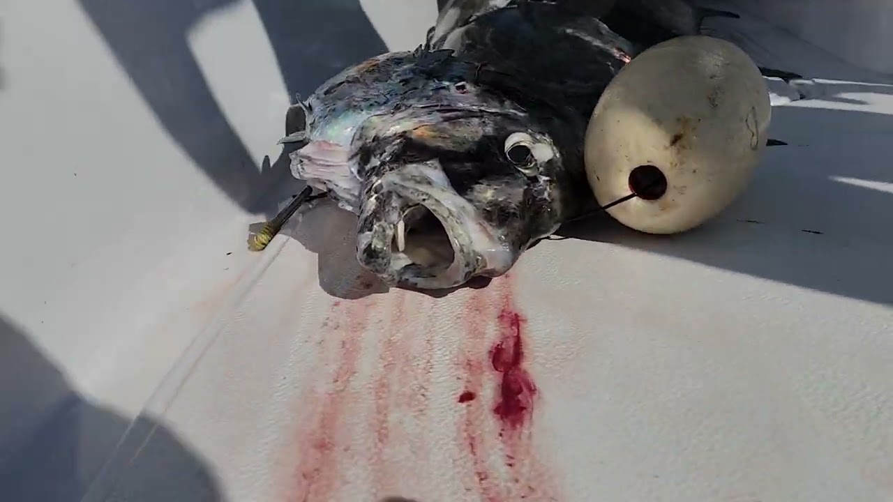 على الحدود