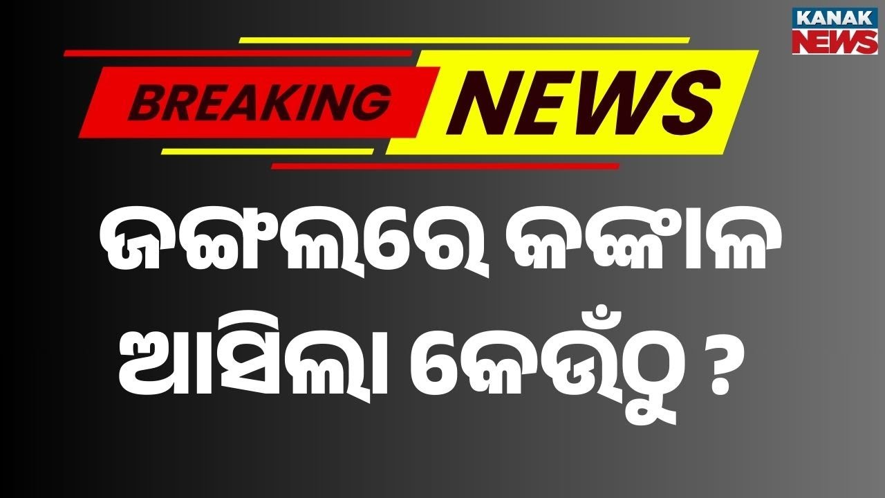 Human Skeleton Recovered from Jungle Near Maa Chadkhai Hill, Ganjam
