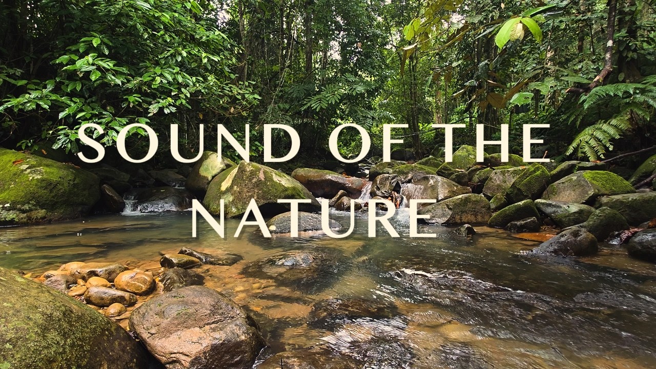 This Relaxing Music Feels Like Floating on a Cloud