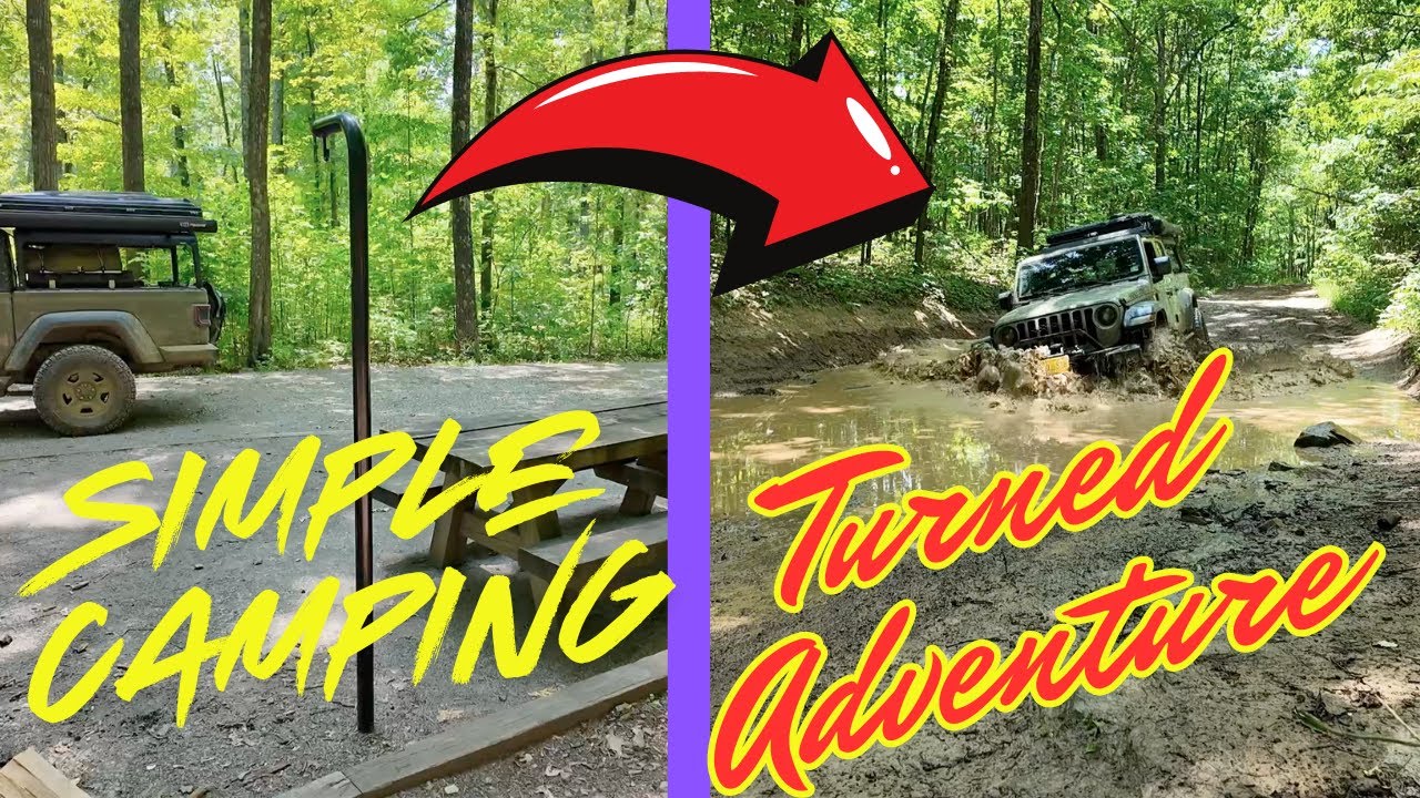 Pines Campground, Dispersed Camping Nearby, and Bald Mountain FR 179 (Virginia Free Camping)